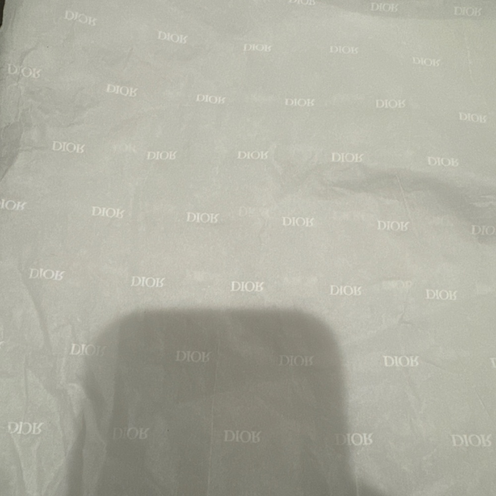 Dior Jordan 1’s - Picture 13 of 15
